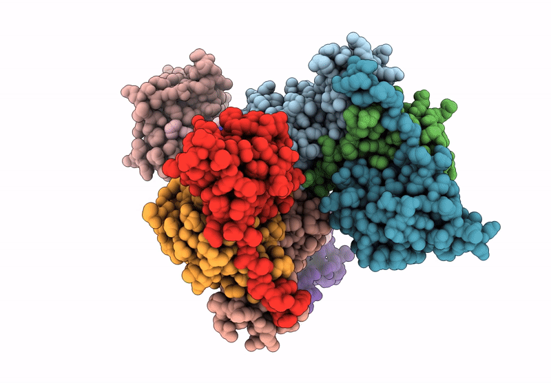 9D4B image