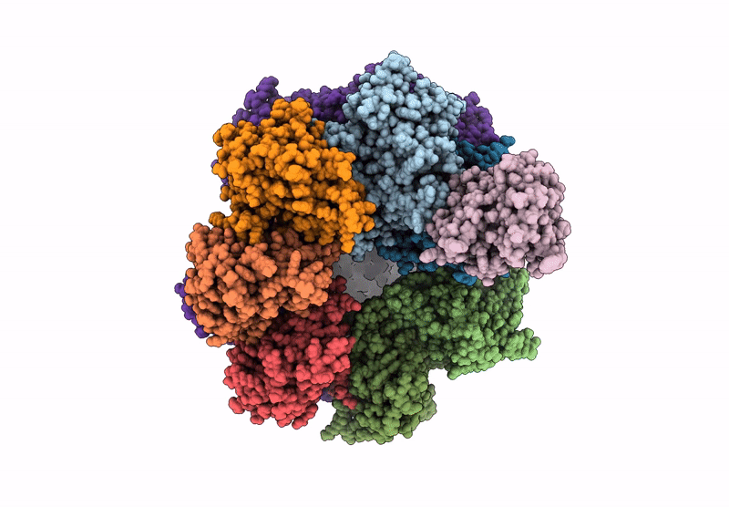 9D4C image