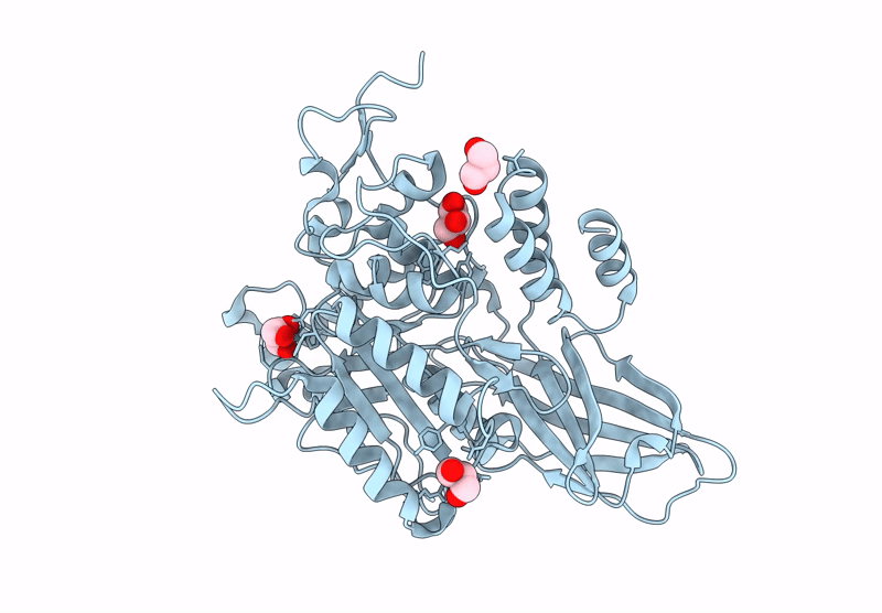 9D4I image