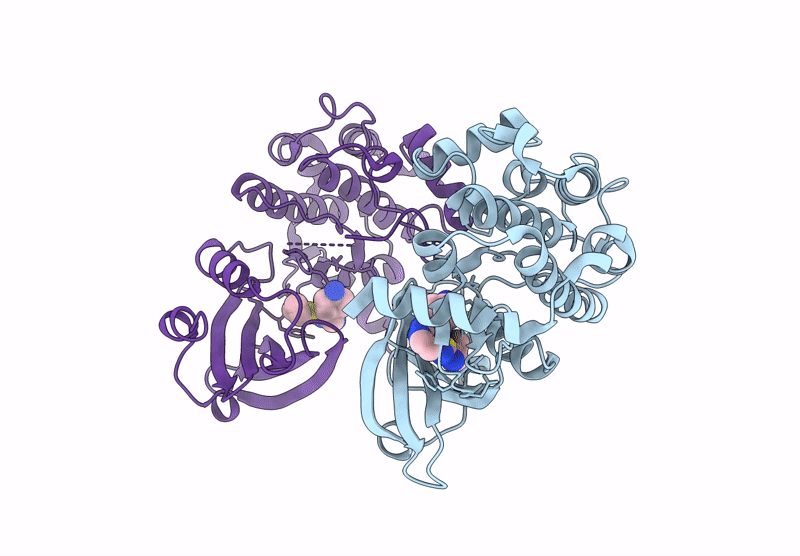 9D4V image