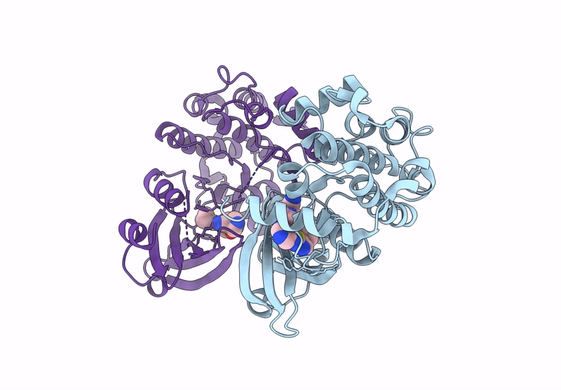 9D50 image