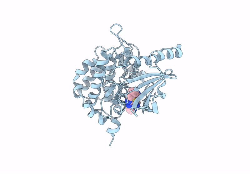 9D53 image