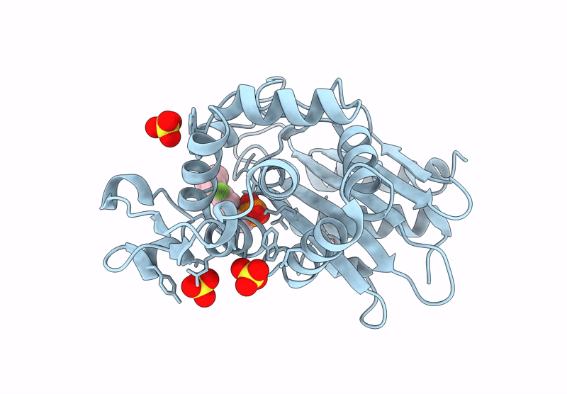 9D54 image
