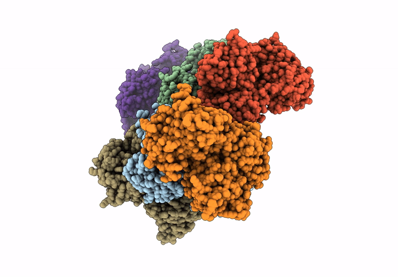 9D57 image