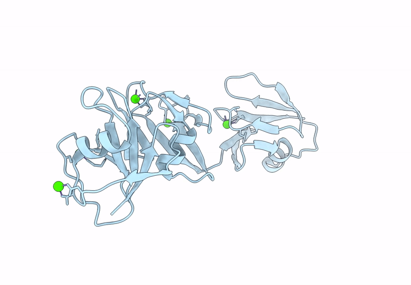9D5A image