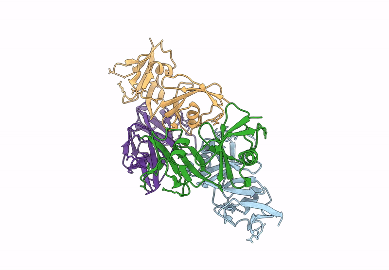 9D5B image