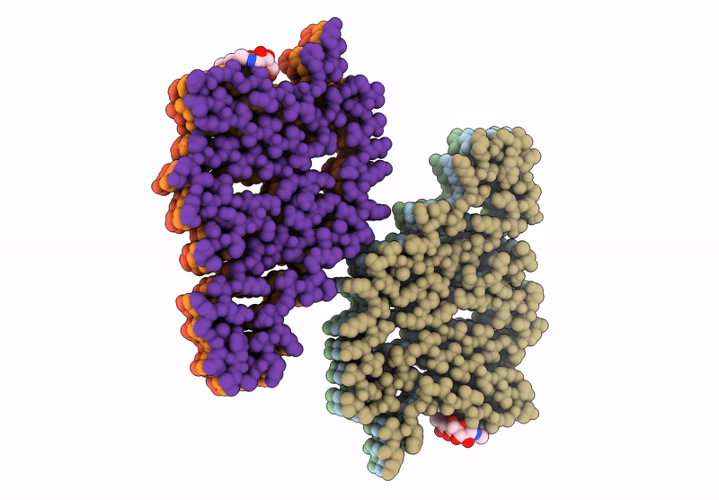 9D5C image