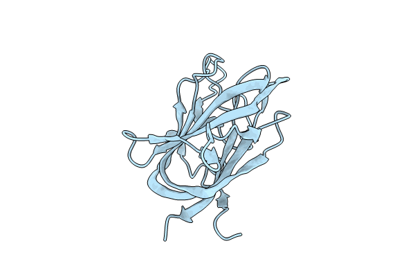 9D5D image