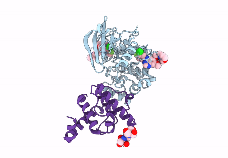 9D5E image