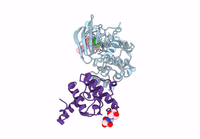 9D5H image
