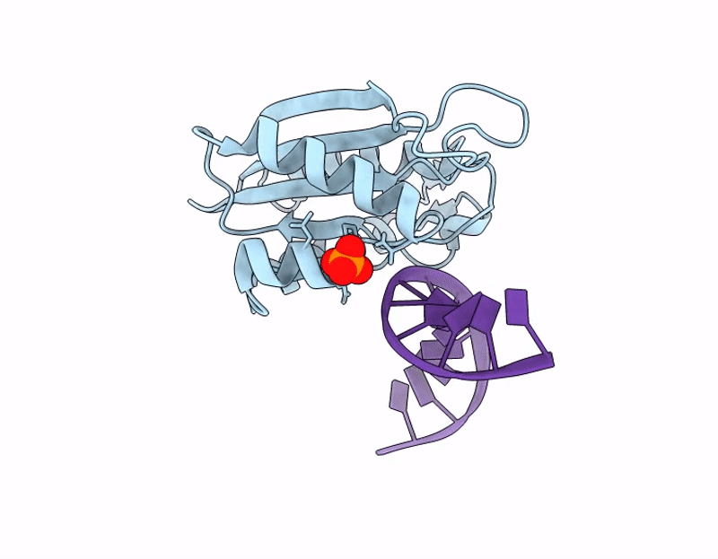 9D5L image