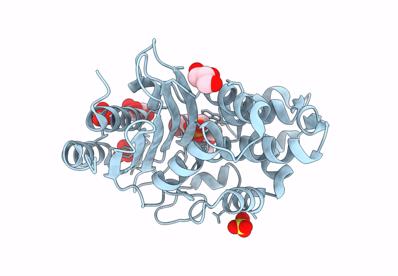 9D5R image