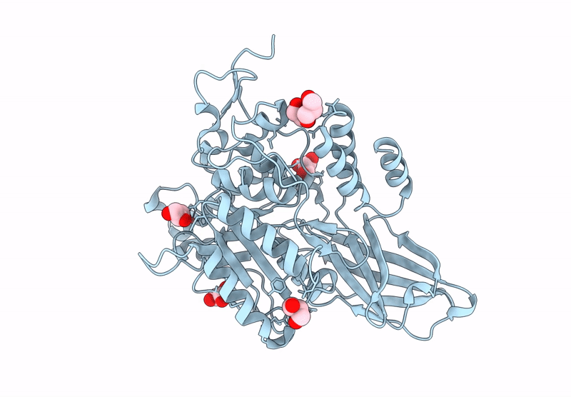 9D5T image