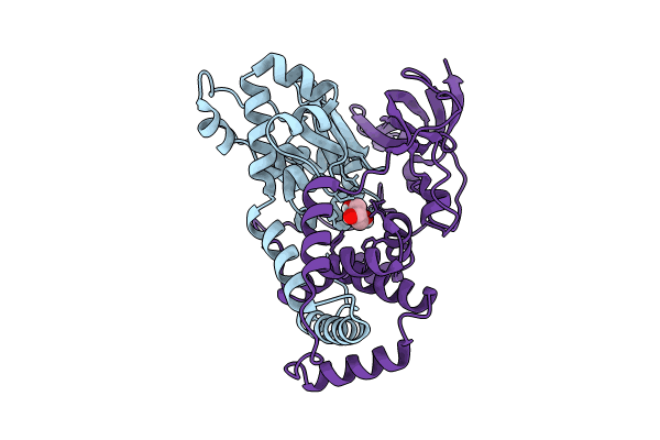 9D5V image