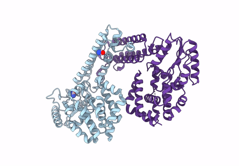 9D5X image