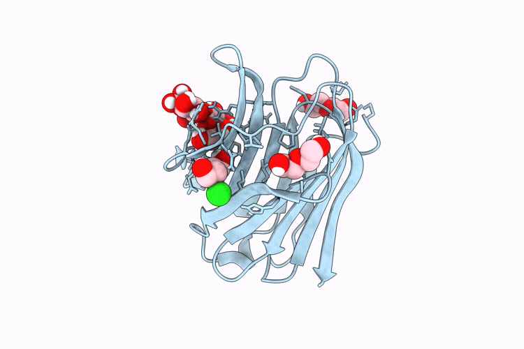 9D62 image