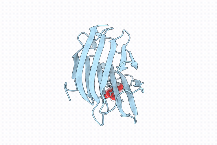 9D64 image