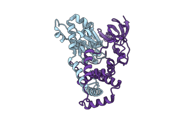 9D65 image