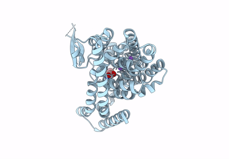 9D68 image