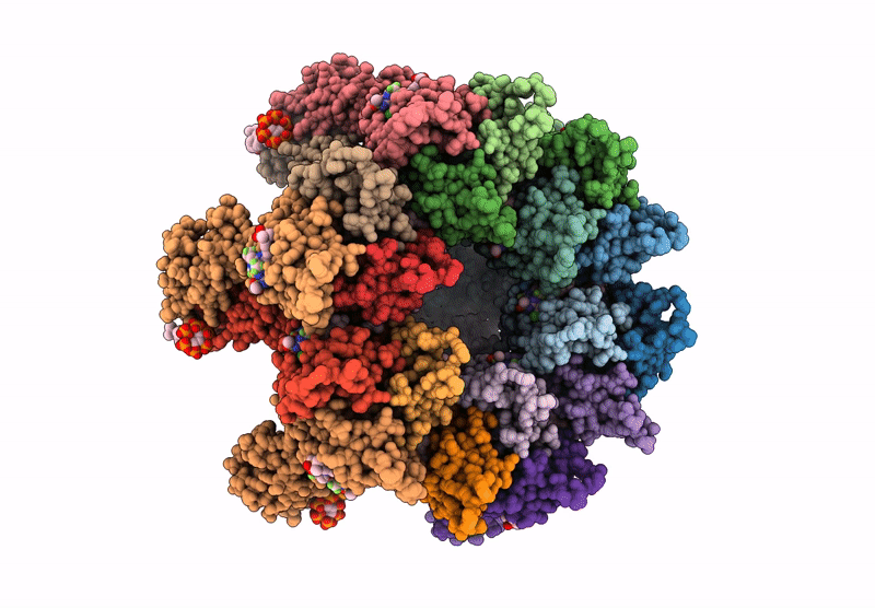 9D6C image