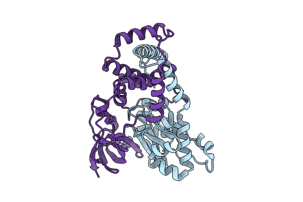 9D6J image