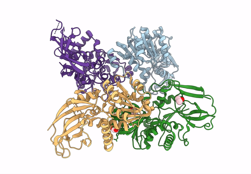 9D6W image