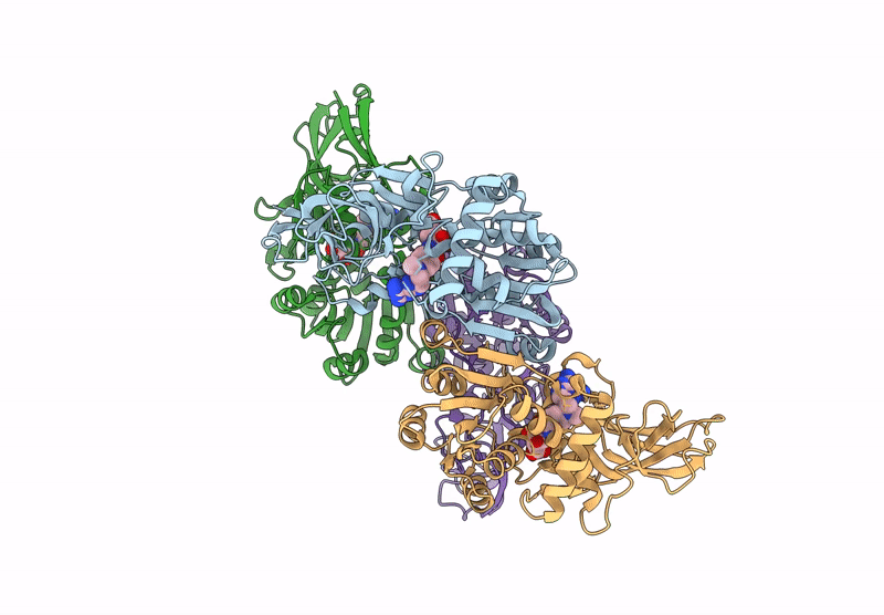 9D71 image