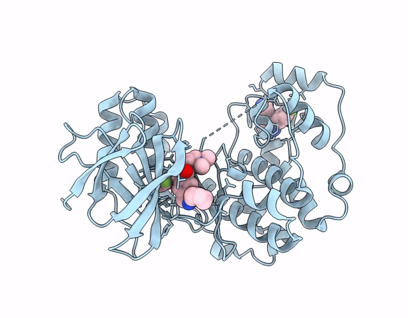 9D75 image