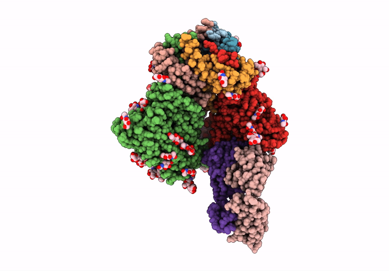 9D7H image