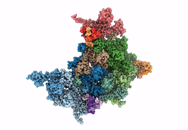 9D82 image