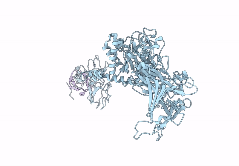 9D84 image