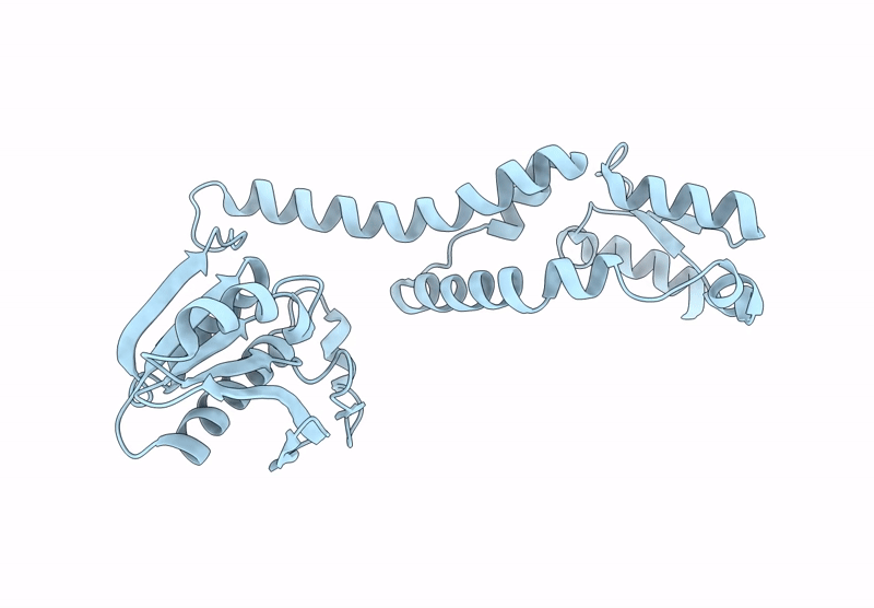 9D87 image