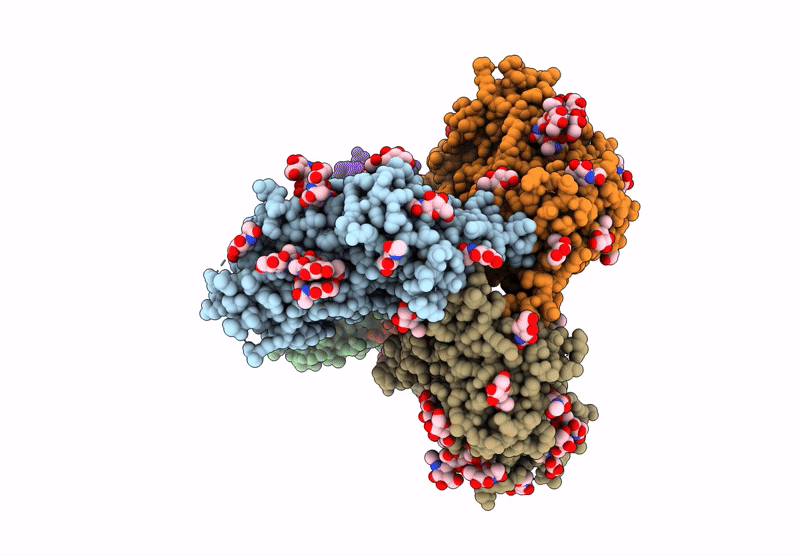 9D8V image