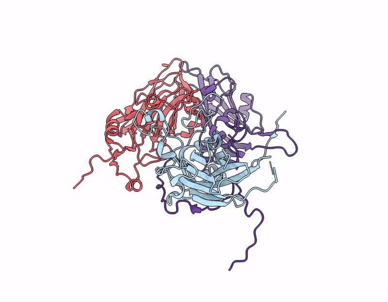 9D8W image