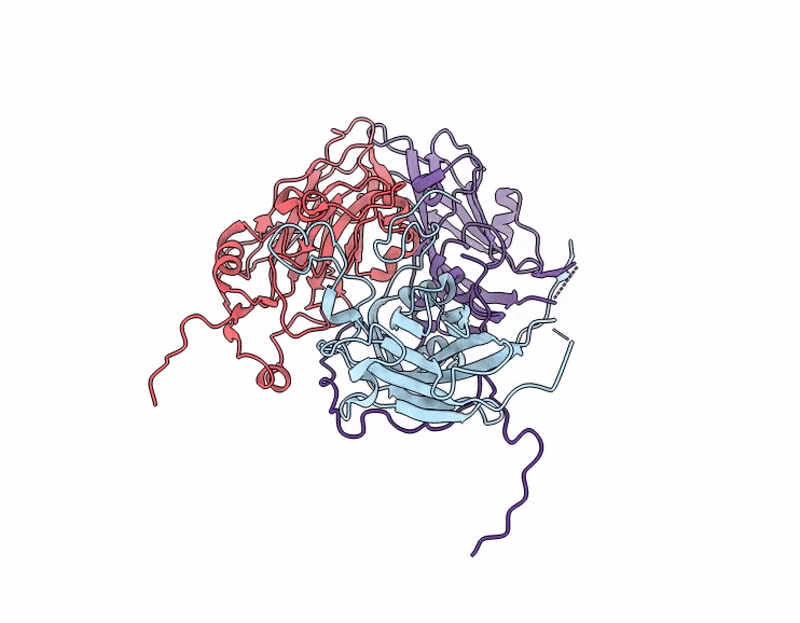 9D8X image