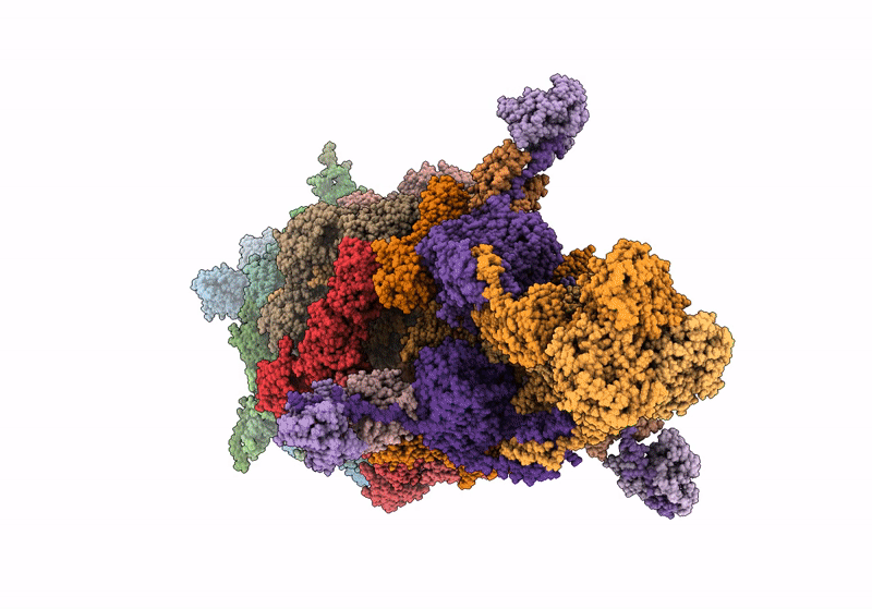 9D93 image