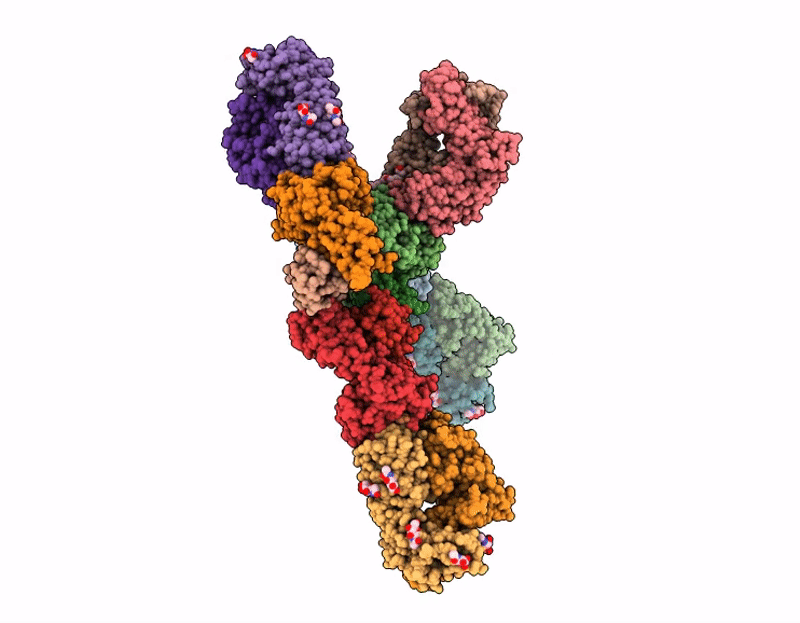 9D95 image