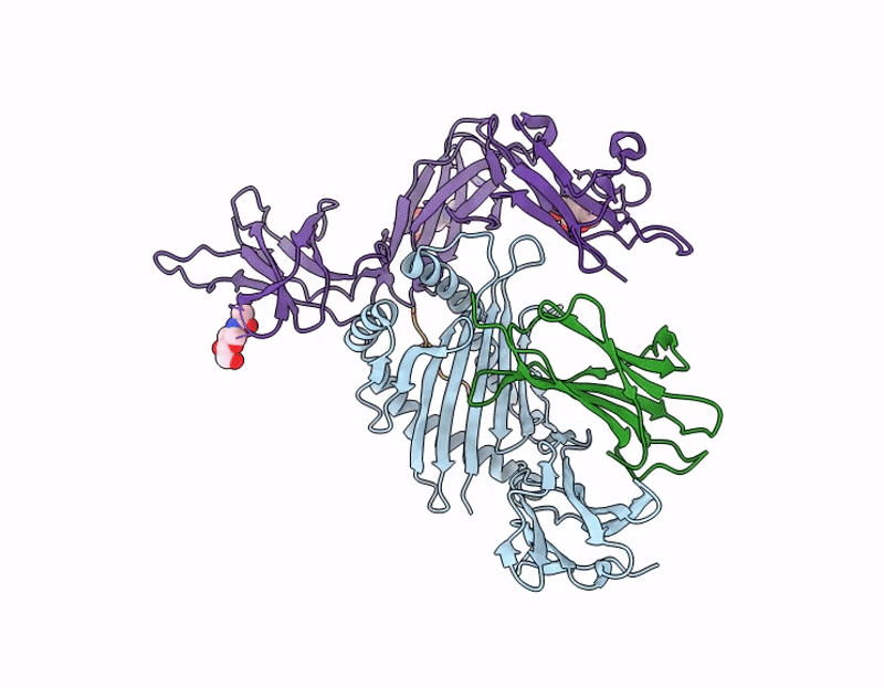 9D96 image