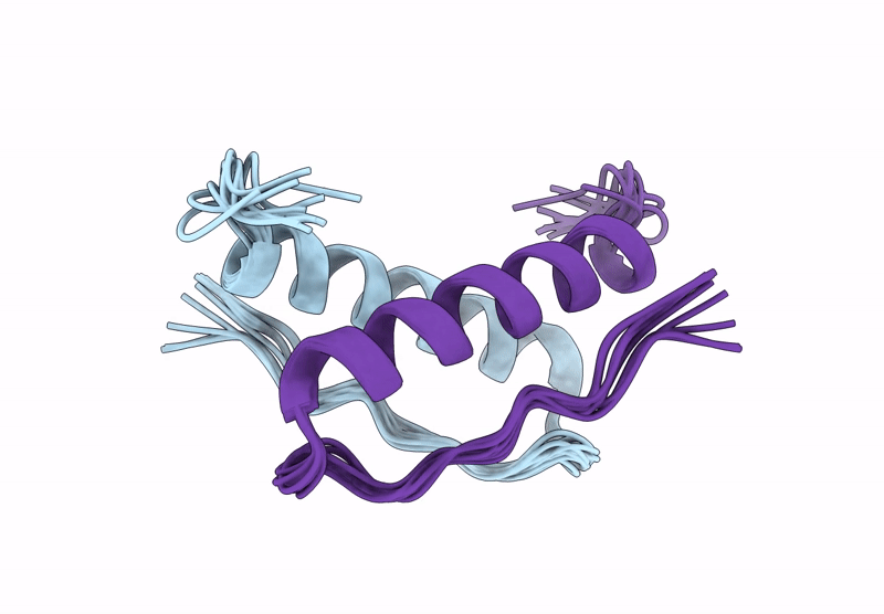 9D9A image