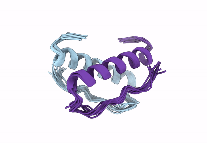 9D9B image