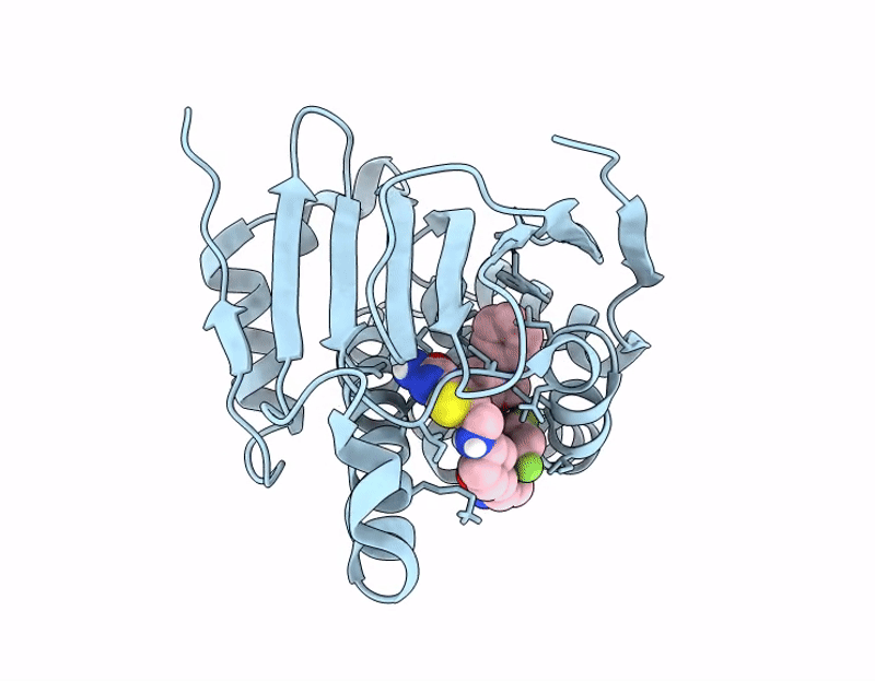 9D9H image