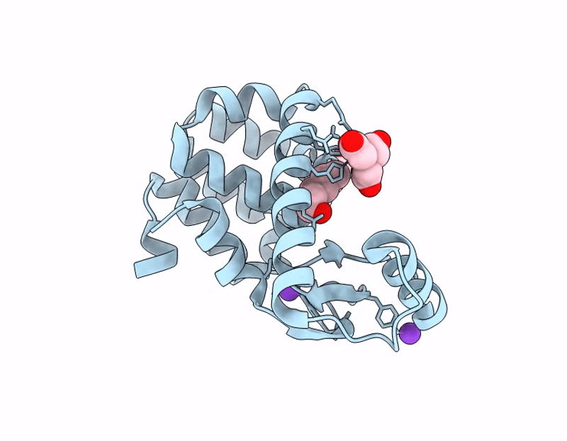 9D9J image