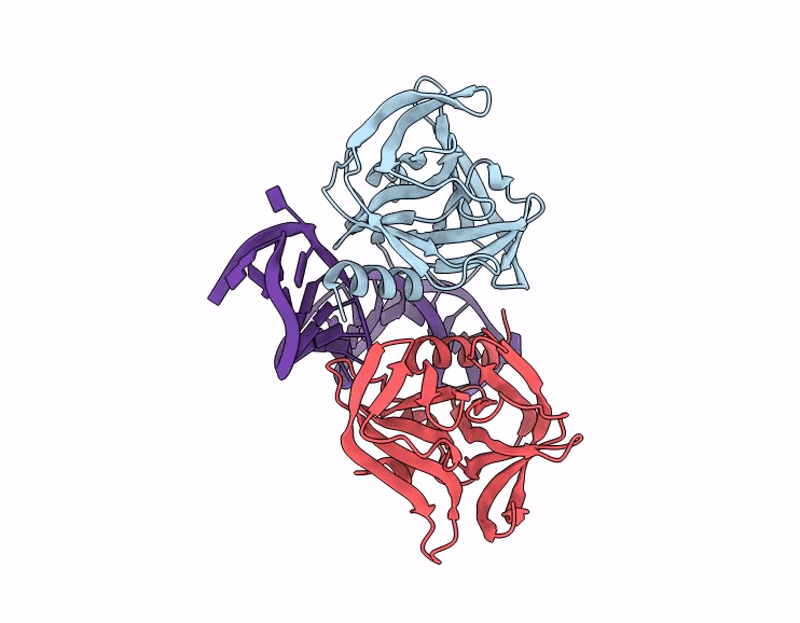 9D9O image