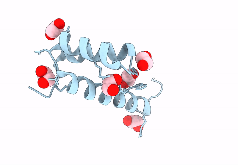 9D9V image