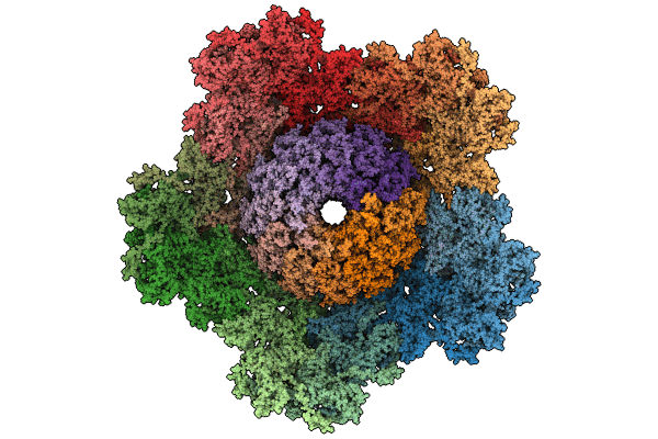 9D9W image