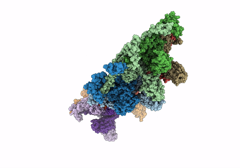 9D9X image