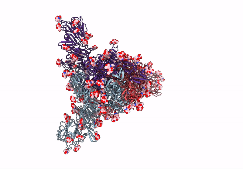 9DB3 image