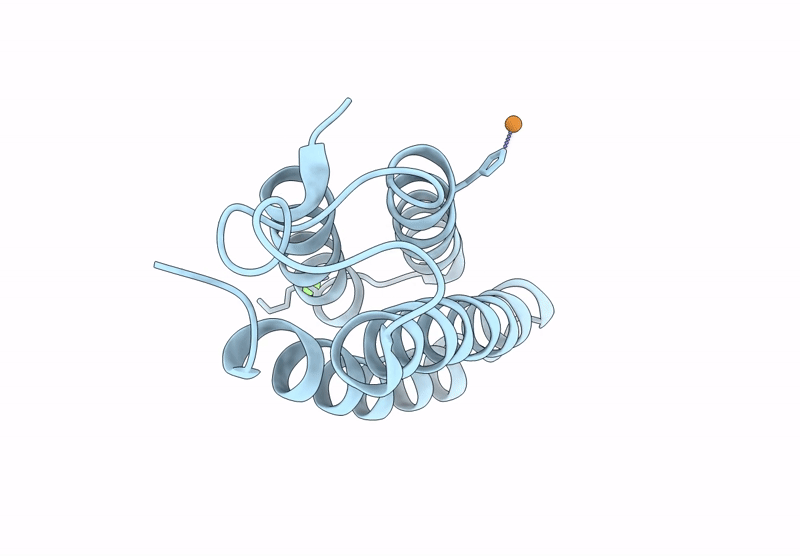 9DB8 image