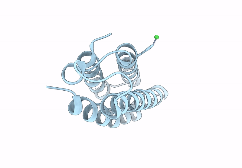 9DB9 image