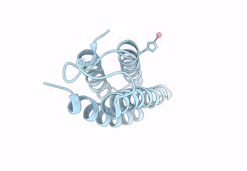 9DBA image
